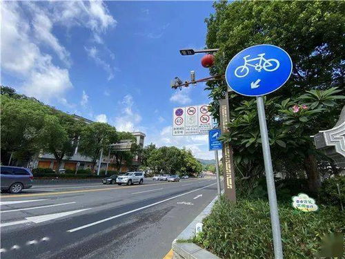 司機注意 西樵這個路段有新交通設施,對違停車輛進行抓拍